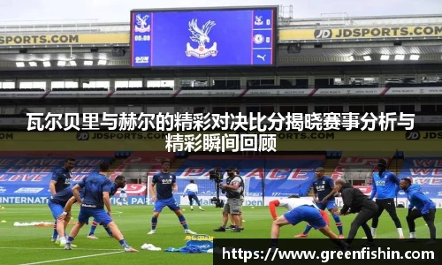 BB贝博艾弗森体育